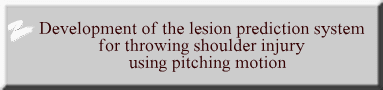 Development of the lesion prediction system  for throwing shoulder injury  using pitching motion